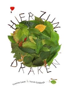 Hier zijn draken (Hardback)