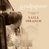 Goudpapaver