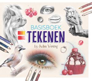 Basisboek tekenen (Paperback)