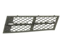 Ventilatiegrille, bumper 6502070067916P