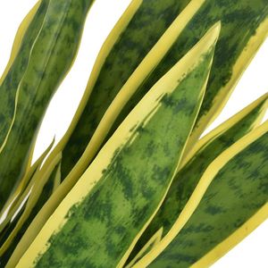 The Living Store Kunst Sanseveria Plant - 65 cm - Realistische Uitstraling