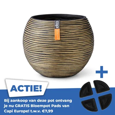 Vaas Bol Rib 12x10 Zwart Goud
