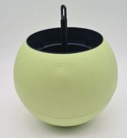 Globee in box lime Bloempot - Hortus
