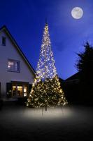 Fairybell 6 meter - 1200 Led - Warm White - Twinkle - No Pole FANL-600-1200-03-EU