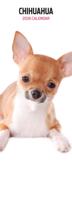 Chihuahua Kalender 2026 Slimline