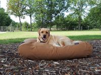 Dog's Companion® Hondenbed Kaneel Extra Small - thumbnail