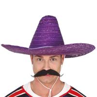 Fiesta Guirca Mexicaanse Sombrero - hoed voor heren - carnaval/verkleed accessoires - paars