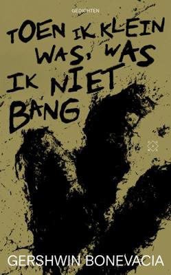Toen ik klein was, was ik niet bang (Paperback)