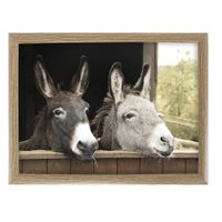 Schootkussen - Laptray - 2 Ezels (43 x 33 cm) - thumbnail