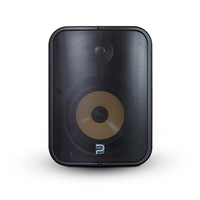 Bluesound Professional BSP1000 PoE+ actieve netwerkluidspreker - Zwart (per stuk)