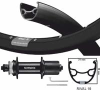 Kgs achterwiel 28 / 29 inch 622 zwarte velg / rvs spaak cass centerl 8 / 9 / 10 speed