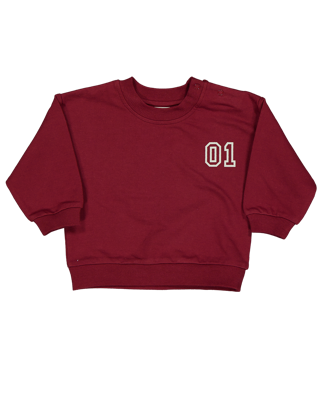 Sweater - Rood