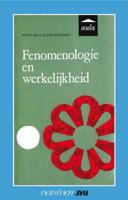 Fenomenologie en werkelijkheid (Paperback)