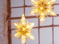 Kerststerren met LED verlichting - 2 stuks