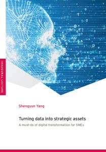 Turning Data into Strategic Assets (Paperback)