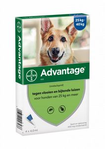 Advantage Advantage Hond