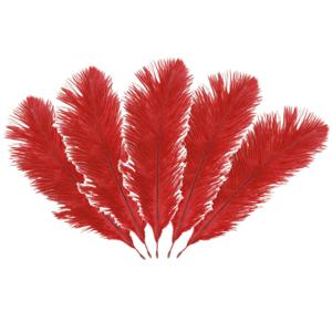 Struisvogelveren/sierveren - 10x - rood - 20-25 cm - decoratie/hobbymateriaal