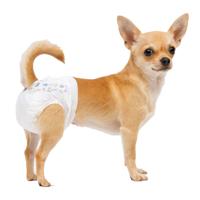 Nobleza Luiers voor hond en kat - Maat XS - 12 Stuks