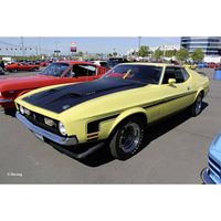 Revell 07699 71 Mustang Boss 351 Auto (bouwpakket) 1:25