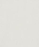 Novamur TopChic 2023-2025; Jackie Behang met metallic beton cirÃ© structuur - 6826-20