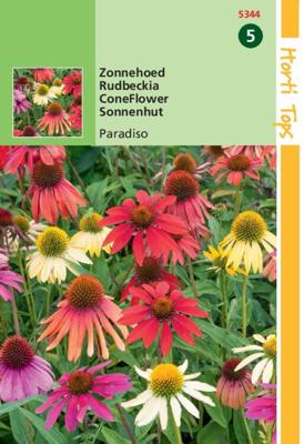 HT Echinacea, Zonnehoed Paradiso - Hortitops