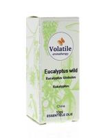 Volatile Eucalyptus wild