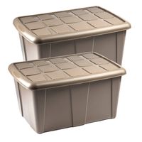 Plasticforte Opslagbox met deksel - 2x - Beige - 60L - kunststof - 63 x 46 x 32 cm - Opbergbox