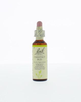 Bach Chestnut bud/kastanjeknop