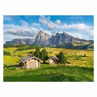 Ravensburger legpuzzel landschap - 500st.