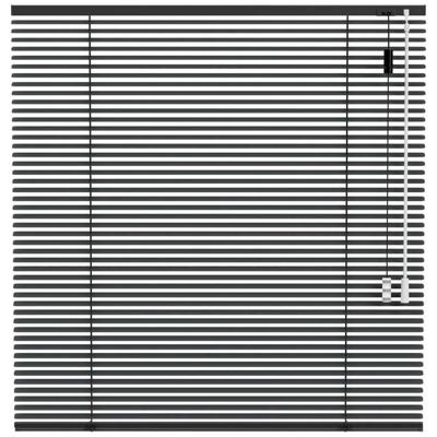 Leen Bakker - Fenstr Jaloezie 25mm Extra Mat - Donker (20519) - Aluminium - Grijs - 120x10x10 Cm