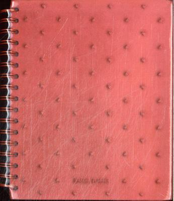 Maschaplanner (Hardback)