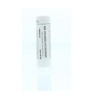Arsenicum iodatum 30K - thumbnail