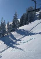 Skipiste (Paperback)