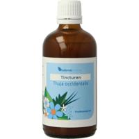 Balance Pharma Thuja occidentalis tincturen Balance Pharma Thuja occidentalis tincturen