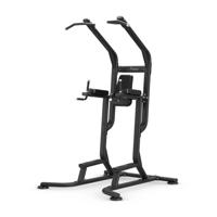 Vision Fitness VKR Chin station