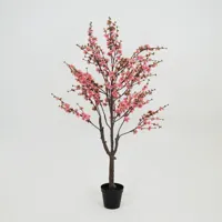 Prunusplant 100x100x180cm rz
