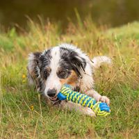 Honden waterspeeltje Knot Bone, blauw-geel - thumbnail