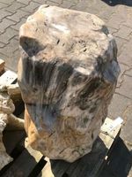 Fossiel hout C82 Fossiel hout C82