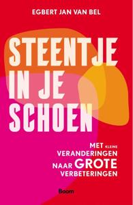 Steentje in je schoen (Paperback)