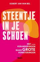 Steentje in je schoen (Paperback)