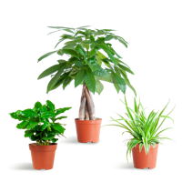 Diervriendelijke Plantenbox - klein - zonder sierpot - Ø12