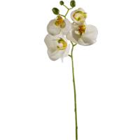 Kunstbloem Orchidee - 56 cm - wit - losse tak - kunst zijdebloem - Phalaenopsis - thumbnail