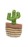 Fofos Cactus mexico
