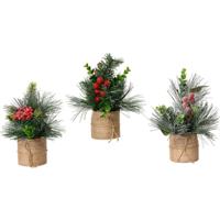 Decoratieve plant Everlands Kerstmis 20 x 15 cm (3 Stuks)