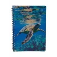 Schildpadden thema schrift/notitieblok/opschrijfboek 3D 21cm   -