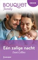 Eén zalige nacht - Dani Collins - ebook