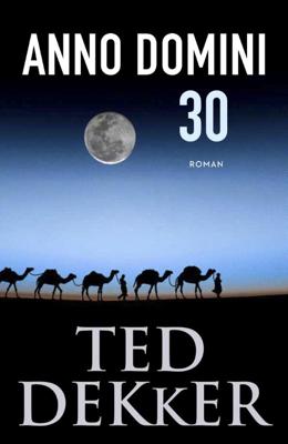 Anno Domini 30 (Paperback)