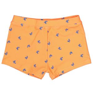 Zwemboxer Oranje