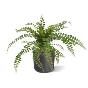 Rotundifolia Varen kunstplant 55cm