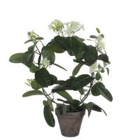 Stephanotis bruidsbloem kunstplant/kamerplant wit in grijze sierpot H50 cm x D40 cm